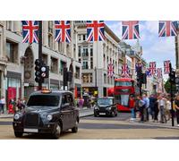 Canadian Heritage in London 4 Hour Private Tour in a Black Cab