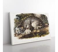 Canadian Lynx By John Woodhouse Audubon Vintage Canvas Wall Art Print Ready to Hang, Framed Picture for Living Room Bedroom Home Office Décor, 60x40 cm (24x16 Inch)