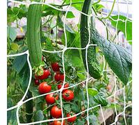 CANAGROW Garden Trellis Netting 1.8 x 9.1m/6x30ft Heavy-Duty Trellis Net Plant Pea Support Netting for Beans Tomatoes Pumpkin Fruits Plants Flower Climbing, White, 1 Pack