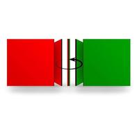 Canailles 25-Pack Double-Sided Red/Green Flip Magnet 2"" Square - Go/No Go Reversible Indicator - Perfect for Inventory and Workflow Management, squarereggreen2