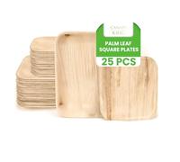Canape King 25x Disposable Palm Leaf Plates Square - Eco-Friendly Biodegradable Compostable 100% Natural Dinner Plates - Perfect Disposable Tableware for Parties, BBQ, Picnic, Wedding (16cm)