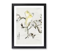 Canary Birds & Peach Blossom By Numata Kashu Asian Japanese Framed Print | A4 Black Framed Wall Art | Ready to Hang | Asian Floral Picture | Living Room Bedroom Lounge Office