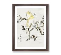 Canary Birds & Peach Blossom By Numata Kashu Asian Japanese Framed Print | A4 Walnut Framed Wall Art | Ready to Hang | Asian Floral Picture | Living Room Bedroom Lounge Office