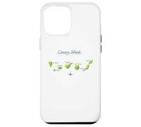 Canary Islands Map Tenerife Gran Canaria La Gomera Lanzarote Case for iPhone 12 Pro Max
