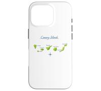 Canary Islands Map Tenerife Gran Canaria La Gomera Lanzarote Case for iPhone 16 Pro