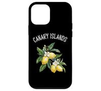 Canary Islands Spain Lemon Art Spanish Fruit Lover Vintage Case for iPhone 12 mini