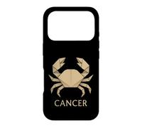 Cancer Paperfolding Zodiac Graphic Case for iPhone 17 Pro