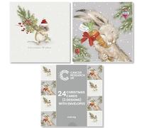 Cancer Research UK Box of 24 Charity Christmas Cards - 2 Designs - Titch and Humphrey Duo