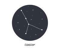 Cancer Sweatshirt - White - L - White