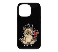 Cancer Zen Cat Astrology Case for iPhone 13 Pro