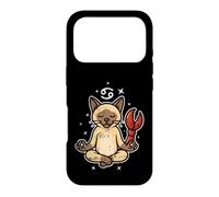 Cancer Zen Cat Astrology Case for iPhone 17 Pro