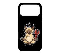 Cancer Zen Cat Astrology Case for iPhone 17 Pro Max