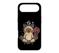 Cancer Zen Cat Astrology Case for iPhone Air