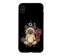 Cancer Zen Cat Astrology Case for iPhone XS Max
