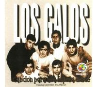 Cancion Para Una Esposa Triste