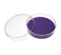 Candeon 10pcs Sterile Plastic Petri Dishes with Lid, 60mm x 15mm Clear Polystyrene Lab Dishes for Microbiology, Cell Culture, Yeast Cultivation, School Science Experiments Laboratory Use