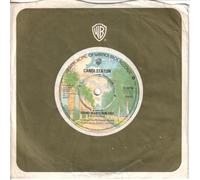 Candi Staton - Young Hearts Run Free