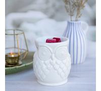 Candle Brothers Owl Tealight Scent Lamp