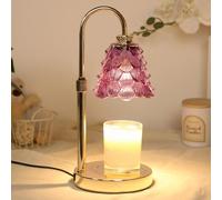 Candle Warmer Lamp with Dimmer - Electric Candle Lamp with Timer for Jar Candles Scented Candles, Plug-in Wax Warmer Lamp for Home with 2 Bulb，Before Purchasing: This is a Light with an EU Plug