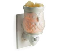 CANDLE WARMERS ETC Pluggable Fragrance Warmer- Decorative Plug-in for Warming Scented Candle Wax Melts and Tarts or Fragrance Oils, Porcelain Owl