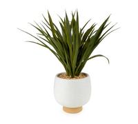 Candlelight 57Cm Yukka Artificial Plant In Cream Ceramic Pot