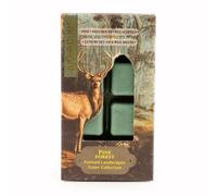 Candlelight 8 Pack Wax Melts - Pine Forest