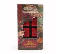 Candlelight 8 Pack Wax Melts - River Blossom