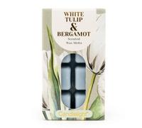 Candlelight 8 Pack Wax Melts - White Tulip & Bergamot