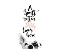 Candlelight A Spoilt Rotten Dog Lives Here Jack Russell Women's T-Shirt - White - M