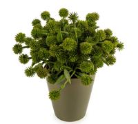 Candlelight Artificial Allium Plant in Ceramic Pot Green 20cm
