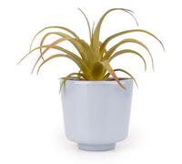 Candlelight Blue & Green 15Cm Succulent Pot With Artificial Plant In Blue Ceramic Pot