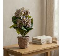 Candlelight Blue & Green 37Cm Hydrangea Pot With Artificial Plant In Natural Textured Concrete Pot