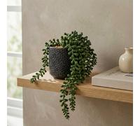 Candlelight Green 11Cm String Of Pearls Pot With Artificial Plant In Black Debossed Ceramic Pot