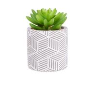 Candlelight Green 12Cm Succulent Artificial Plant In Grey Ceramic Pot
