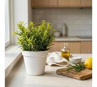 Candlelight Green 21Cm Rosemary Pot With Artificial Plant In White Plastic Pot