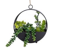Candlelight Green 23Cm Succulent Artificial Plant In Black Metal Pot