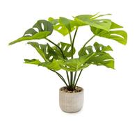 Candlelight Green 50Cm Cheese Plant Artificial Plant In Grey Ceramic Pot