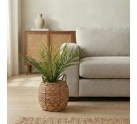 Candlelight Green 50Cm Palm Pot With Artificial Plant In Natural Seagrass Basket