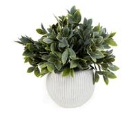 Candlelight Green & Cream 26Cm Fern Artificial Plant In Cream Ceramic Ribbed Pot