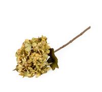 Candlelight Green Hydrangea Artificial Foliage (H) 460mm