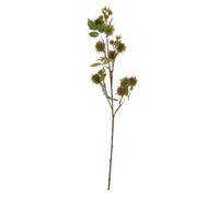 Candlelight Green Thistle Single Stem Artificial Flower (H) 730mm