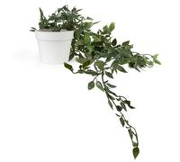 Candlelight Green & White Tradescantia Artificial Plant In White Plastic Pot
