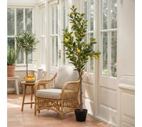Candlelight Green & Yellow 150Cm Lemon Tree Pot With Artificial Plant In Black Plastic Pot