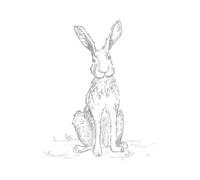 Candlelight Hare Sketch Sweatshirt - White - M - White