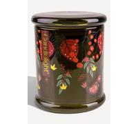 Candlelight Large Glass Jar Candle with Birds Modern Christmas Tree Fragrance in Green | Size: 300g Candlelight Green 300g