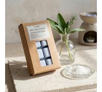 Candlelight Light Blue Plain Sea Salt & Sage Small Wax Melt