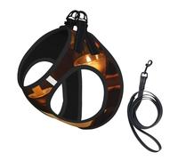 Candlelight Night Reading Print Dog Harness Adjustable Walk Puppy Harnesses Leash Clips Pet Harnesses Training Pet Vest