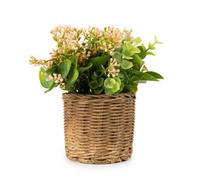 Candlelight Pink 20.3Cm Baby Breath & Eucalyptus Artificial Floral Arrangement In Brown Wicker Basket