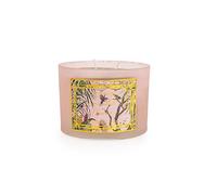Candlelight Pink Chinoiserie Scent 2 Wick Wax Filled Glass Pot Pink