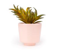 Candlelight Pink & Green 14.5Cm Succulent Pot With Artificial Plant In Pink Ceramic Pot